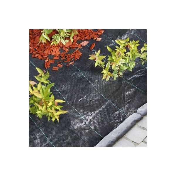 Toile agricole anti-herbes noire PEHD 100g 1x100m - 5